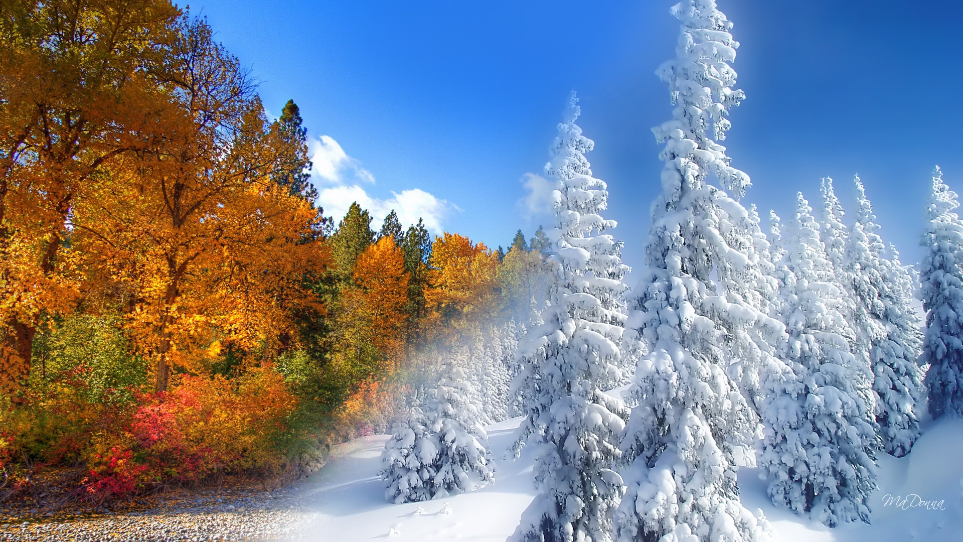 Cold R Winter Fall Fall | DylASMR